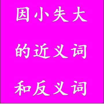 因小失大的近义词和反义词，意思相同和不一样的成语