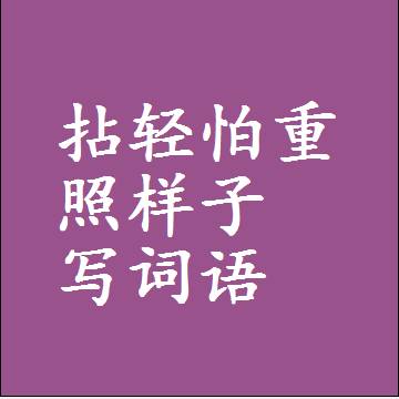 拈轻怕重照样子写词语，意思相同结构类似的四字词语