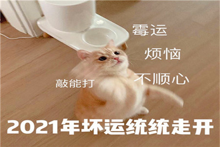 写给自己生日的祝福语 适合发朋友圈生日快乐的说说句子致自己