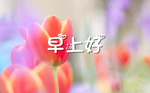 发朋友圈早安励志的句子
