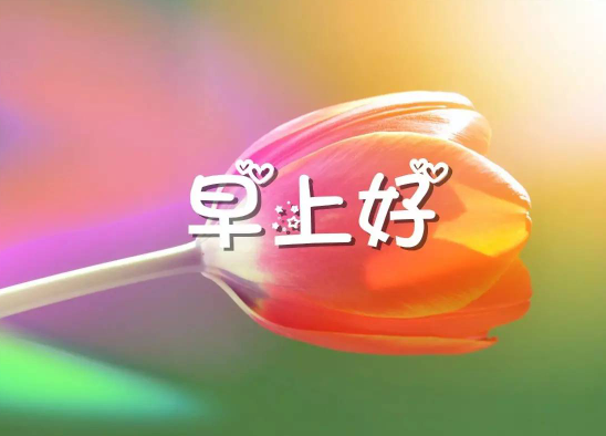 每日晨语发朋友圈早安正能量短句