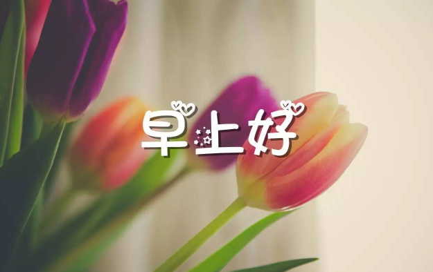 每日晨语发朋友圈早安正能量短句