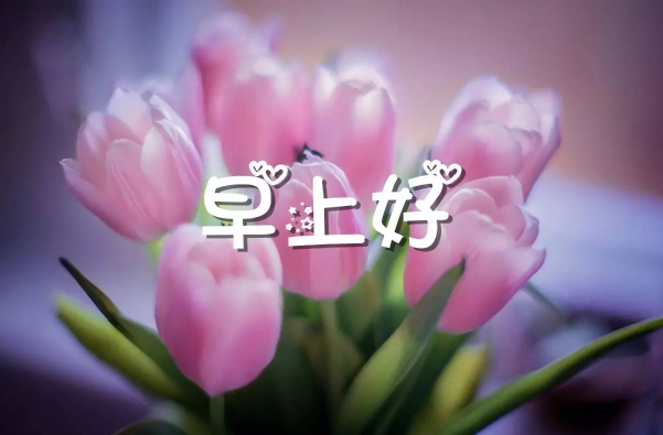 每日晨语发朋友圈早安正能量短句