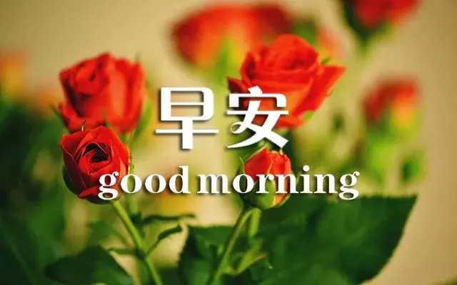 新的一天开始精美语句 新的一天正能量句子