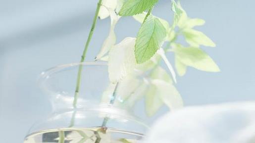 很现实的短句 生活现实又很扎心的句子