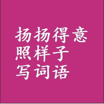 扬扬得意照样子写词语，结构一样的成语