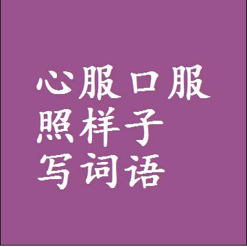心服口服照样子写词语，意思相同结构类似的四字词语