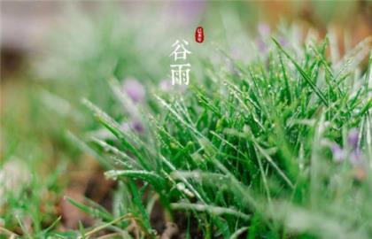 心情烦的说说发朋友圈 表达一个人低落的心情说说