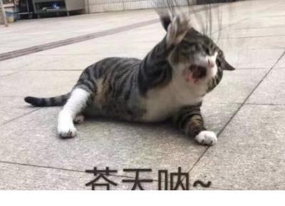 励志说说致自己带图片 励志朋友圈说说带图片