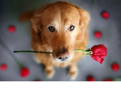 女儿生日祝福语简短 生日快乐文案