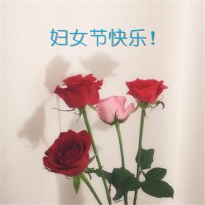 亲情伤感的句子说说心情