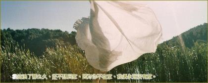 让人瞬间崩溃的句子 瞬间让人泪奔的照片
