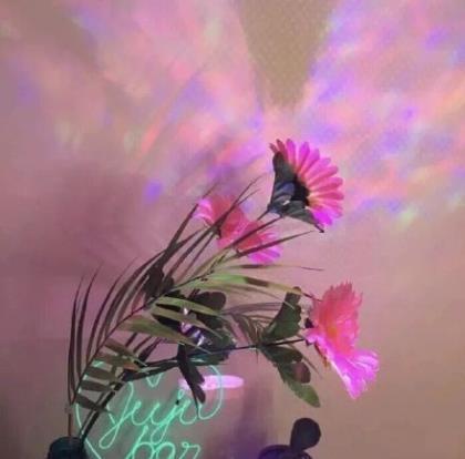 爱情伤感说说心累照片 接受忠诚；用死来回报王国的仁慈