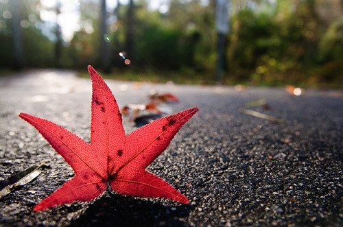 晒妈妈的照片发朋友圈的句子