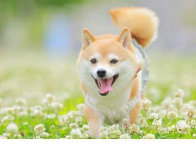 友谊 快手关于闺蜜的句子