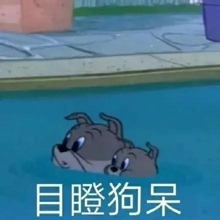 发朋友圈沙雕文案短句