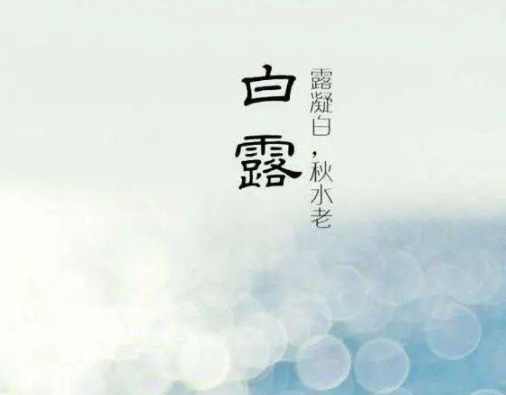 白露节气发给客户的问候