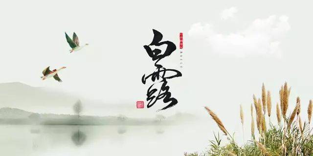 白露节气发给客户的问候