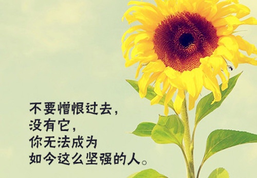 说说心情短语人生感悟2021(50句)