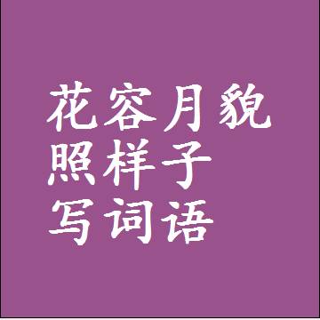 花容月貌照样子写词语和成语