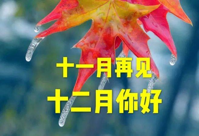 十一月再见十二月你好的句子