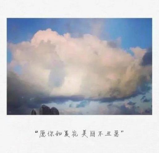 想离婚的说说心情短语 离婚伤感语录