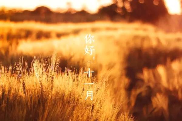 十月再见十一月你好图片唯美图片