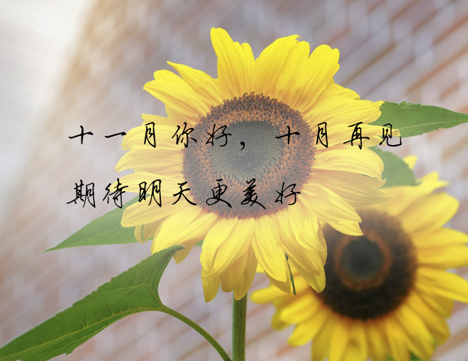 十月再见十一月你好图片唯美图片