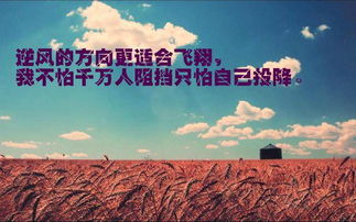 关于奋斗的励志的句子格言