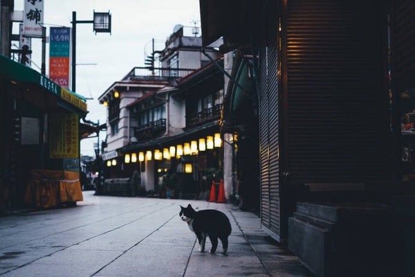 一个人深夜语录 眼中总是会不经意的流起泪