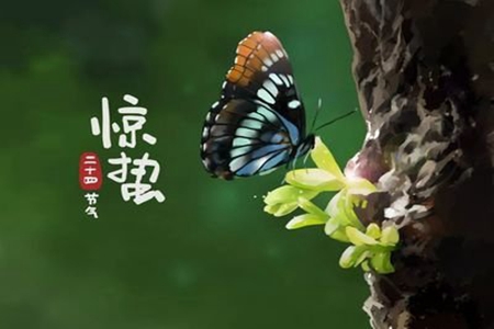 惊蛰唯美句子，适合三月节气发的心情说说
