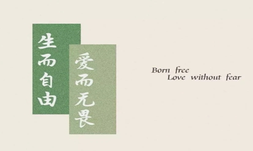 2022年三八节的经典祝福语 祝福女士的暖心句子