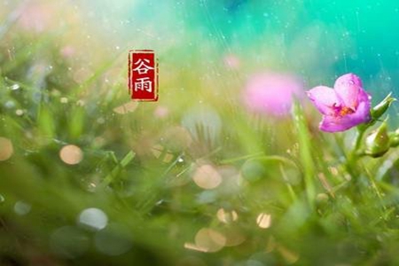 2022谷雨节气经典说说，好听唯美的祝福语