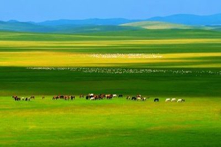 赞美草原的古诗大全，关于描写碧绿草地的词句