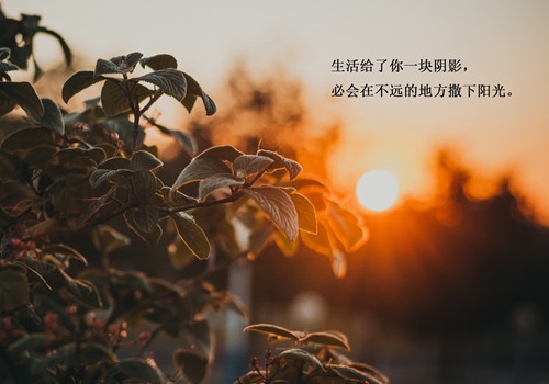 发朋友圈的句子心情短句关于生活(68句)