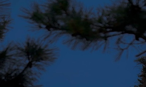 现实生活又很扎心的句子 别总是逞强让自己遍体鳞伤！