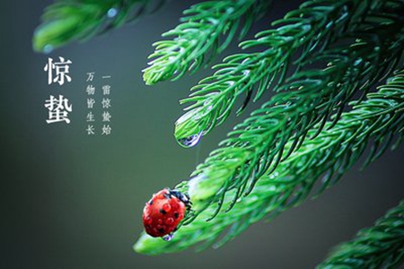 2022描写惊蛰的文案短句，适合群发的节气问候语