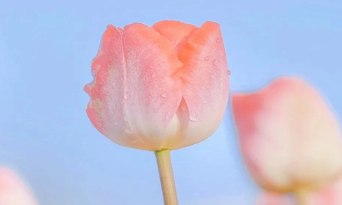 生活随心的句子 发朋友圈最精辟的句子