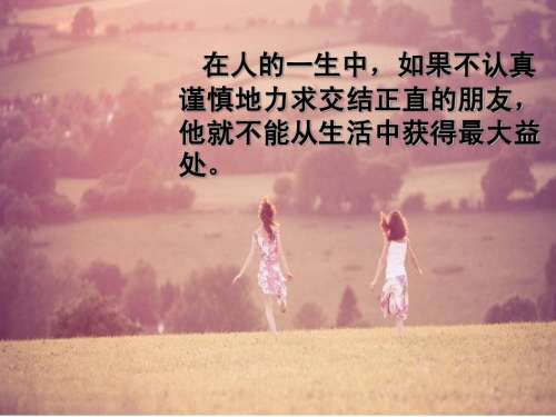 友谊经典语录短句精选