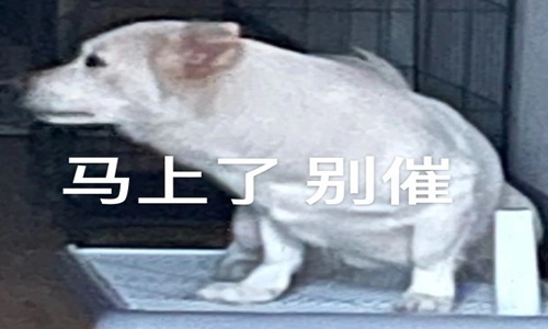 今天是中国便秘日 便秘的搞笑朋友圈文案说说