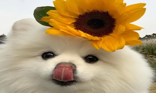 一些简单暖心的句子 适合发朋友圈的成熟文案