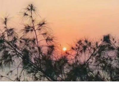 护士发朋友圈的说说 护士节快乐的说说