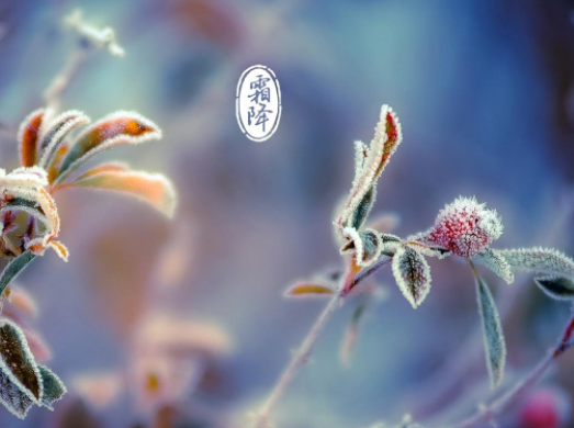 霜降走心文案