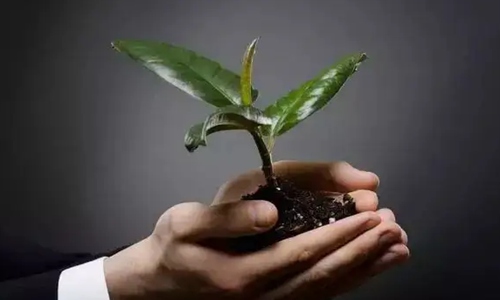 最能打动顾客的十句话 让对方感受你的真心！