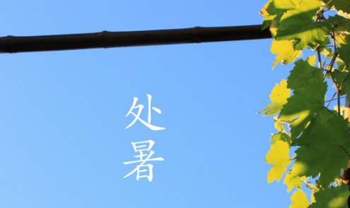 2021处暑节气文案发朋友圈 处暑节气微信句子说说