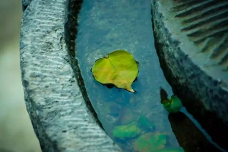 始终做不到释然的句子，明知道不可能还抱有希望的说说