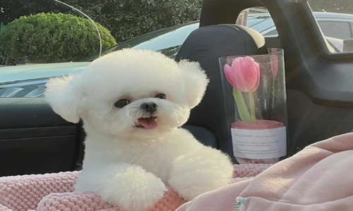 现实生活又很扎心的句子 精选15句不要让自己活得太累