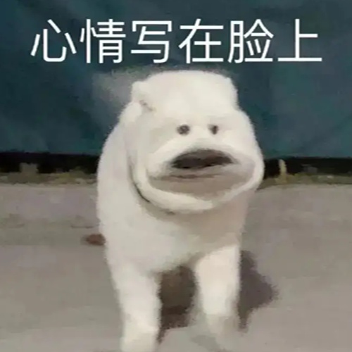 大冤种什么意思什么梗？大冤种文案发朋友圈的句子