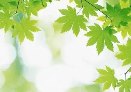 情感文案的意义(情感文案的抖音昵称)