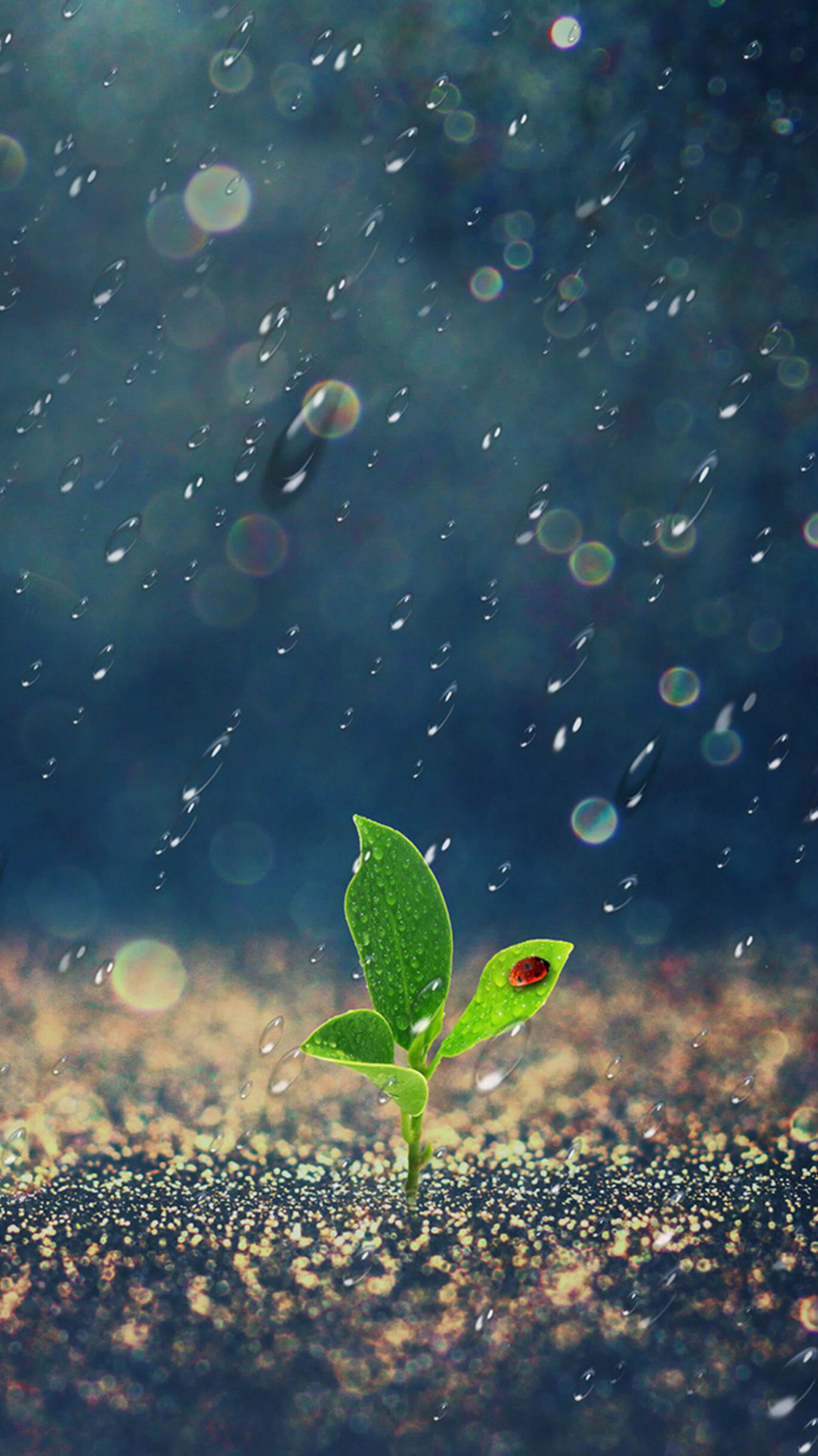 扎心伤感的雨天说说 最伤感的莫过于沉默不语